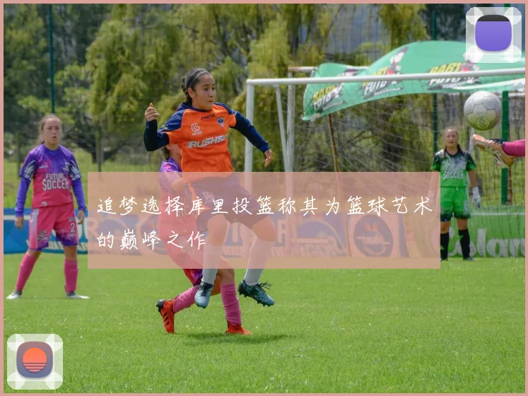 追梦选择库里投篮称其为篮球艺术的巅峰之作