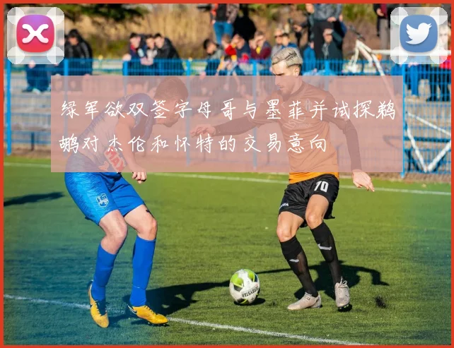 绿军欲双签字母哥与墨菲并试探鹈鹕对杰伦和怀特的交易意向